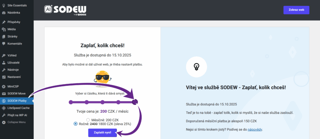 Výběr měsíční/roční platby